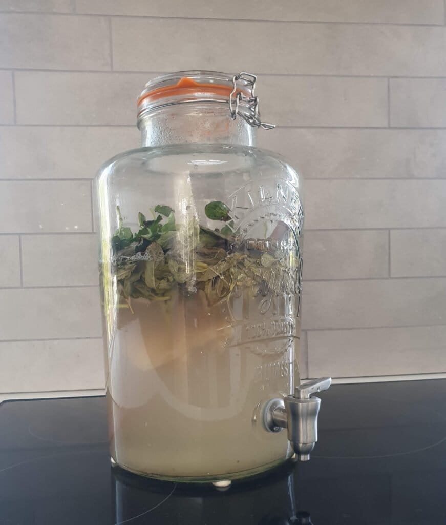 Kombucha med 2 slags mynte